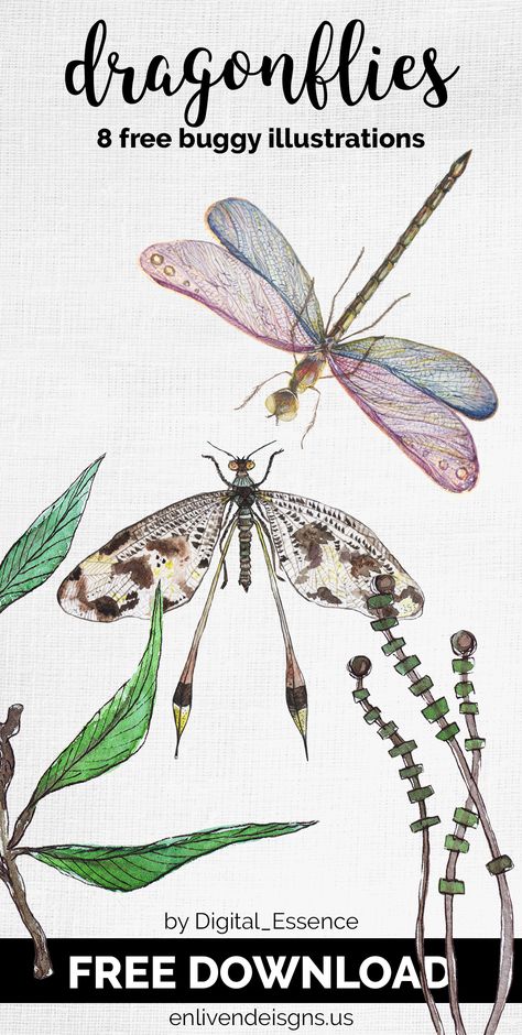 #FREE Dragonflies and Botanicals | Enliven Designs - Pretty watercolor hand painted set with #dragonflies. You can use set elements for #wedding invitation, greeting #card, #prints, etc. Click to download free #bundle now! Dragonfly Template Free Printable, Dragonfly Drawings, Dragonfly Illustration, Dragonfly Artwork, Dragonfly Images, Printable Paper Patterns, Dragon Flys, Watercolor Dragonfly, Pretty Watercolor