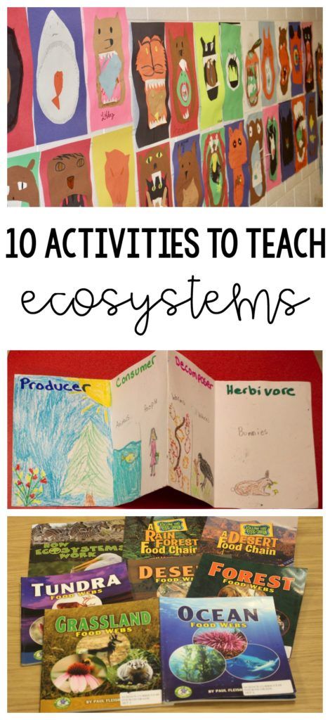 Here are 10 engaging ways to teach ecosystems! My third and fourth graders loved these activities! Teaching Ecosystems, Ecosystem Activities, Ecosystems Projects, March Ideas, Fourth Grade Science, Inquiry Learning, Teaching Esl, Biology Classroom, Eco System