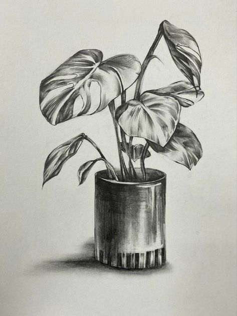 Simple Shading Drawing Sketch, Drawing Ideas Still Life, Sketch Ideas Still Life, Still Life Shading Drawing, Still Life With Pencil Shading, Still Life Ideas Drawing, Sketching Ideas Pencil Nature, Still Life Drawing Pencil Shading, Pencil Shade Drawing