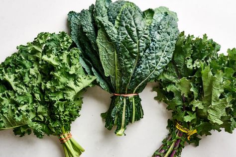 The Difference Between Curly, Tuscan & Russian Red Kale | Kitchn Juice Cleanse Diet, Red Russian Kale, Kale Benefits Health, Red Kale, Dinosaur Kale, Great Salad Recipes, Kale Recipe, Winter Veggies, Green Kale