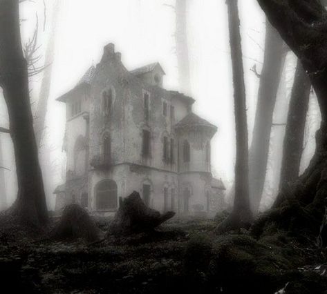 melinoe aesthetic Creepy Cute Aesthetic, Eerie Places, Creepy Core, White Goth, Crystal Castle, Abandoned House, Dark Nature Aesthetic, Angel Aesthetic, Southern Gothic