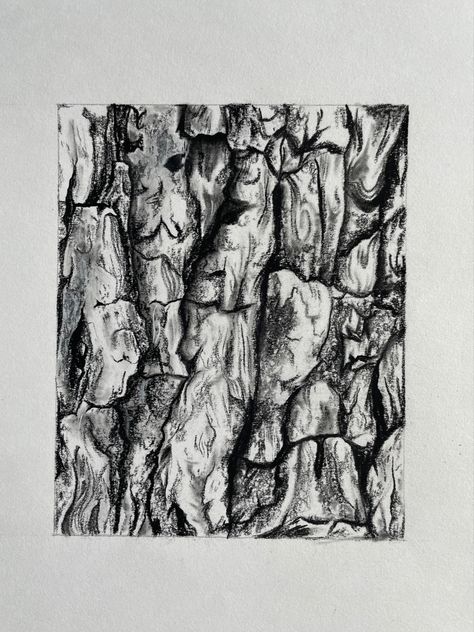 Fish Texture Drawing, Charcoal Texture Drawing, Leather Texture Drawing, Leaf Texture Drawing, Forest Floor Drawing, Tree Texture Drawing, Tree Bark Drawing, Skin Texture Drawing, Bark Drawing