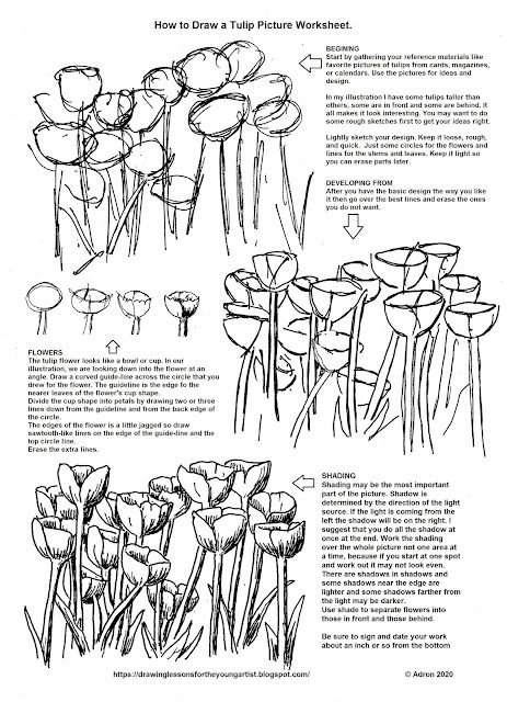 Garden Sketch Drawing, Draw Tulip, Draw A Tulip, Flowers From Paper, Nature Sketches, Tulip Drawing, Botanical Sketchbook, Tulip Garden, Flower Drawing Tutorials