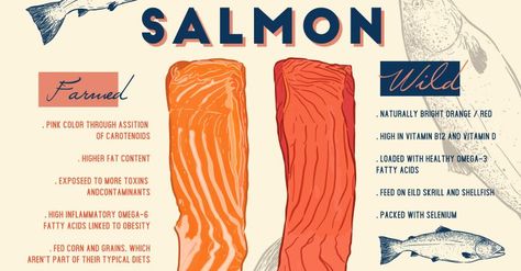 Salmon Quotes, Seafood Packaging Design, Salmon Poke, Salmon Farming, Sushi Menu, Sign Painter, Pesto Salmon, Wild Caught Salmon, Fish Feed