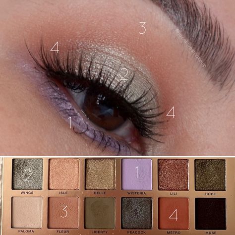 Abh Nouveau Eyeshadow Palette, Anastasia Nouveau Palette, Anastasia Beverly Hills Nouveau Looks, Nouveau Palette Abh Looks, Abh Nouveau Look, Anastasia Nouveau Palette Looks, Nouveau Palette Abh, Spring Eyeshadow Looks Brown Eyes, Spring Makeup Looks For Brown Eyes