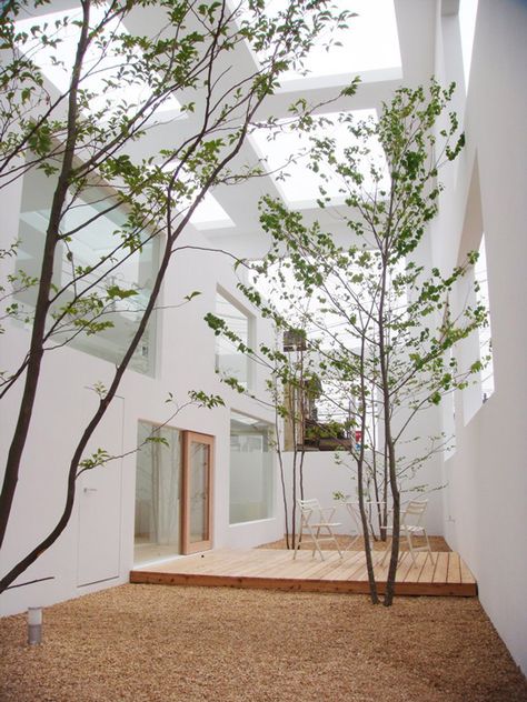 House N,  Sou Fujimoto Sou Fujimoto House, House Tree, Sou Fujimoto, Interior Design Per La Casa, Interior Design Gallery, Minimalist House, Internal Courtyard, Casa Exterior, Indoor Patio