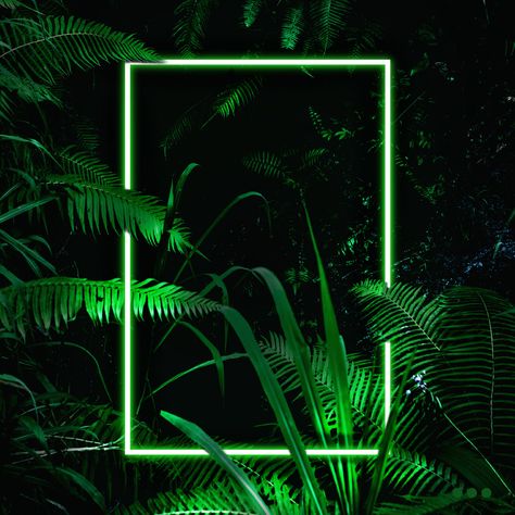 Jungle Neon on Behance Neon Nature Aesthetic, Amapiano Wallpaper Aesthetic, Jungle Aesthetic Wallpaper, Neon Jungle Aesthetic, Amapiano Wallpaper, Amapiano Aesthetic, Neon Jungle Theme, Neon Jungle Party, Neon Plants