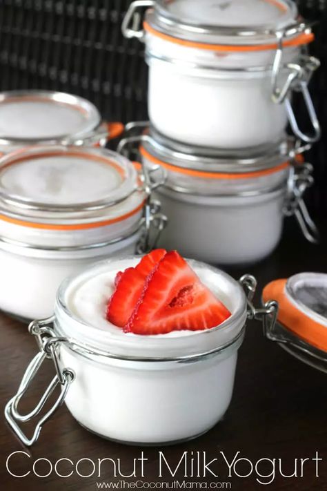 Paleo Yogurt Recipe, Coconut Yoghurt Recipe, Coconut Yogurt Recipe, Yogurt Starter Culture, Homemade Coconut Yogurt, Yogurt Starter, Coconut Milk Yogurt, Make Coconut Milk, Yogurt Recipe