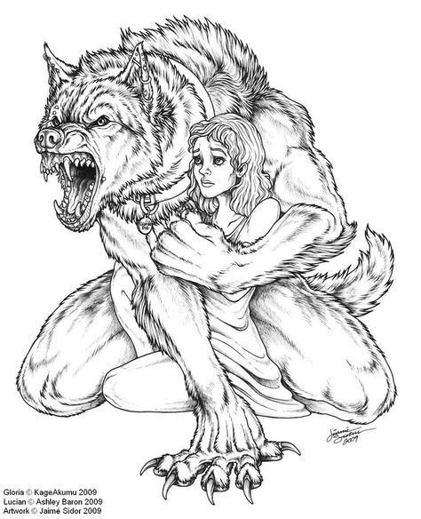 I love pictures of werewolves protecting people. Werewolf Tattoo, Lup Singuratic, Wolf Artwork, Werewolf Art, Vampires And Werewolves, Wolf Love, Wolf Spirit, 다크 판타지, Wolf Tattoos