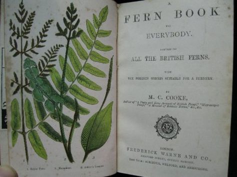 Moon to Moon: Reading is sexy.... Earth Element Aesthetic, Pea Plants, Plant Books, Study Things, Illustration Art Nouveau, British Books, Woodland Cottage, Book Video, Moon Reading