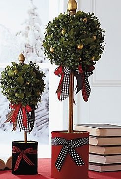 Christmas Topiary Christmas Topiaries, Topiary Ideas, Home Christmas Decor, Christmas Topiary, Preserved Boxwood, Boxwood Topiary, Topiary Trees, Grandin Road, Indoor Christmas Decorations