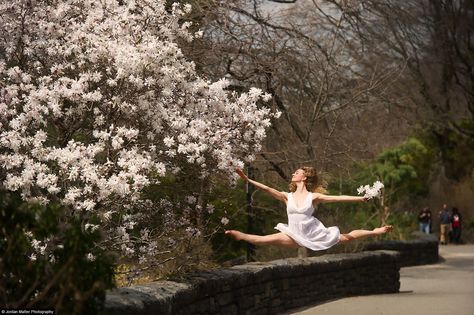 See this image of New York, NY - Claire Stallman in @JordanMatter's Circus Among Us Dancers Among Us, Jordan Matter, New York Landmarks, Dance Photo Shoot, Ballet Pictures, Alvin Ailey, Park In New York, Ballet Photos, Ballet Photography