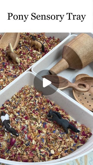 Anthea | Early Learning Play on Instagram: "•PONY SENSORY TRAY•

Using our beautiful sensory ‘busy bee tray’ from @gusandmabel.co we created a calming Pony sensory experience for Mr4, Miss4.5 and Mr11months. 

✨ The sensory base we used was the ‘whimsical wonders’. Mr4 said it smelt like “cranberries”. 

🐎 The ‘Safari Ltd Ponies Toob’ are from @minizoo.shop and playmat from @darling_folk 

What do you think?
•
•
•
#sensorytray
#sensoryideas 
#messyplay
#sensoryplay
#sensory
#sensorybin
#sensoryactivity
#sensoryplayidea" Sensory Tray, Messy Play, Sensory Experience, Busy Bee, Sensory Bins, Sensory Activities, Play To Learn, Sensory Play, Early Learning