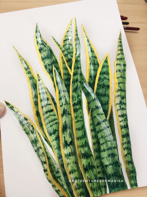 Watercolor realistic painting of house plant snake plant or mother in laws tongue in easy simple steps Watercolor Snake Plant, Snake Plant Art, Snake Plant Illustration, Snake Plant Drawing, Snake Plant Painting, Snake Plant Tattoo, Plant Art Drawing, Plants Paintings, Mother In Laws Tongue