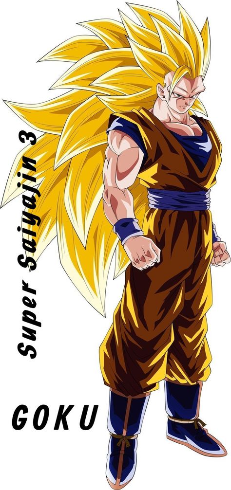 Goku Super Saiyan 3, Goku Face, Goku Ssj3, Super Saiyan 3, Urahara Kisuke, Dragon Ball Heroes, Super Goku, Panther Art, Dbz Characters