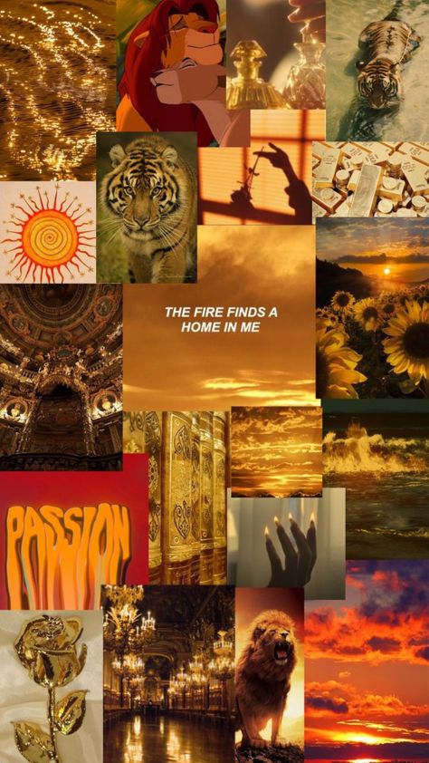 Star sign / zodiac sign of LEO wallpaper with tigers, lions,golden rose, lion king, fire, gold asthetic sun sets and more ... Leo Aesthetic Wallpaper Iphone, Zodiac Signs Wallpaper, Leo Wallpaper, Signs Wallpaper, Aries Wallpaper, Zodiac Leo Art, Tiger Zodiac, Fire Lion, Golden Lion Tamarin