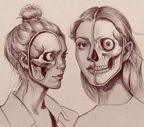 Skull studies, these were fun to do but turned out a little creepy :) Person Turning Around Drawing, Half Human Half Skull Drawing, Half Skull Half Face Art, Half Face Half Skull, Skull Different Perspectives, Neurosurgery Study, Bottom Jaw Skull Drawing, Half Human Face Half Skull, Skull Studies