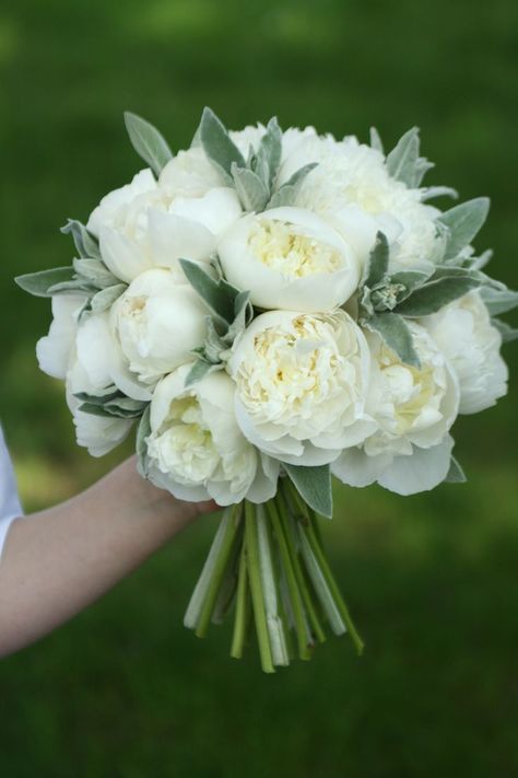 White Cream Bouquet, White And Green Wedding Bouquet Peonies, Peony Hydrangea Wedding Bouquet, Peonies And Hydrangeas Bouquet, Round Bouquet Wedding, Bride Bouquets Peonies, Round Wedding Bouquets, Hydrangea And Peony Bouquet, Bridal Bouquet White And Green