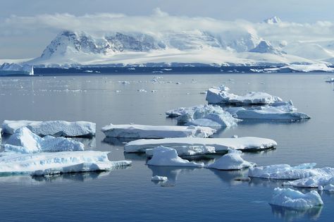 #Paysage de glace et de #banquise en Péninsule #Antarctique. Kingdom of #ice in the #Antarctic Peninsula. #croisière #cruise #ponant  ©Nathalie Michel http://www.ponant.com/Destinations/Antarctique Arctic Painting, Ski Trends, Antarctic Peninsula, Pole Nord, Slide Background, Ice Melting, Landscape Projects, Koi Fish, Artwork Design