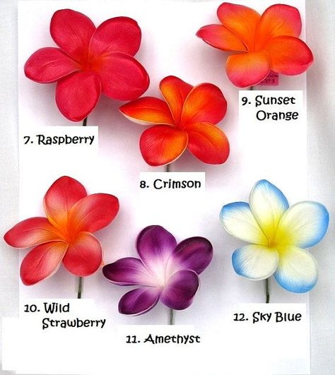 Frangipani Tattoo, Plumeria Tattoo, Different Types Of Flowers, Hawaiian Tattoo, Plumeria Flowers, Fondant Flowers, Flower Colors, Orange Colour, Flowers Red