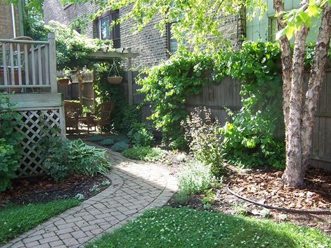 Chicago Garden Ideas, Chicago Backyard Ideas, No Lawn Front Yard, Chicago Backyard, Chicago Garden, Circular Patio, Wood Walkway, City Gardens, Concrete Path