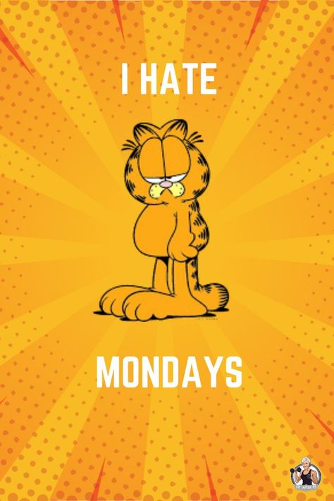 Garfield Monday, I Hate Mondays, Manic Monday, Hate Mondays, Monday Blues, Feelings, Memes