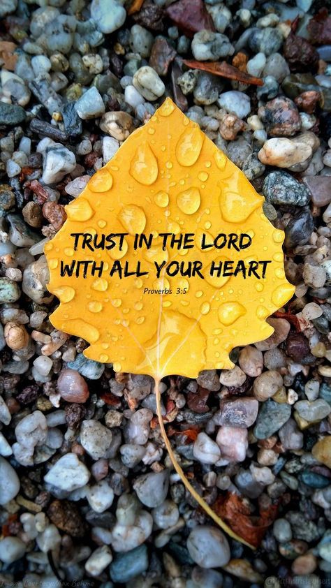 English Bible Verse Image, Verse Bible Wallpaper, Jesus Words In English, Proverbs 3:5, Bible Words In English, Angel Guides, Proverbs Scriptures, Faith Wallpaper, Bible Verses Phone Wallpaper