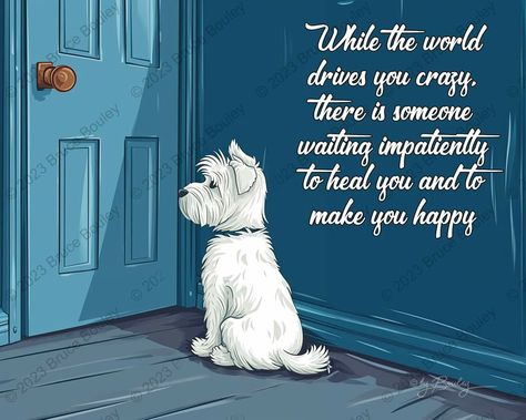 Miss My Dog, Dog Lover Quotes, Dog Poems, Dog Quotes Love, Dog Heaven, Westie Dogs, Dog Quotes, Animal Quotes, Dog Care