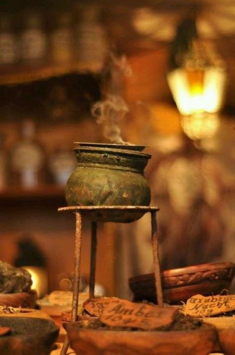 potions Scorpius And Rose, Hufflepuff Aesthetic, Witch Aesthetic, Practical Magic, Kitchen Witch, Samhain, Hallows Eve, Book Of Shadows, Larp