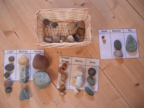 Matching & classification with natural materials from The Hundred Languages of Children (",) Science Corner, Montessori Botany, Math Sort, Asia Continent, Playful Learning, Learning Mathematics, History Curriculum, Montessori Preschool, Montessori Math