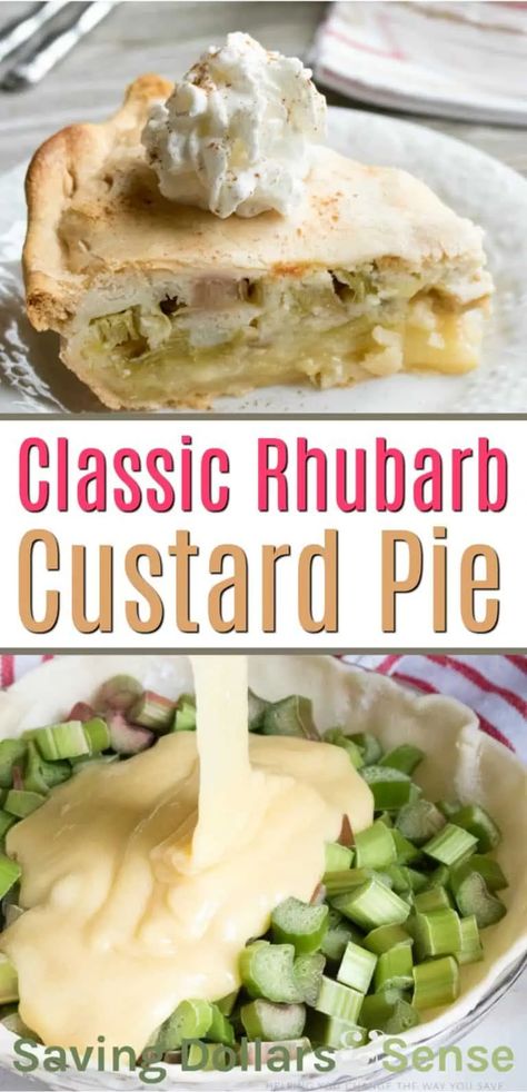 Rhubarb Custard Pie Recipe, Rhubarb Custard Bars, Custard Bars, Rhubarb Custard Pie, Rhubarb Desserts Recipes, Rhubarb Custard Pies, Rhubarb Recipes Pie, Custard Pies, Custard Pie Recipe