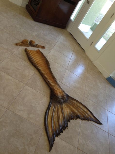 Mertailor | Mermaid Tail Collection Fake Mermaid Tails, Mermaid Tails For Sale, H2o Mermaid Tails, Brown Mermaid, Realistic Mermaid Tails, Fin Fun Mermaid Tails, Mermaid Swim Tail, Realistic Mermaid, Fin Fun Mermaid