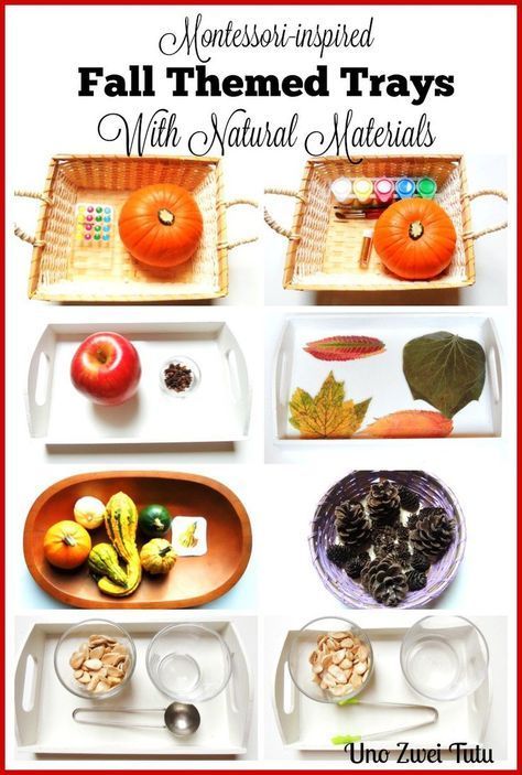 11 Montessori inspired activities with natural fall materials. Montessori-inspired trays for toddlers and preschoolers. Fall Activities For Toddlers, Tot Trays, Montessori Trays, Fall Sensory, Montessori Lessons, Practical Life Activities, Fall Preschool Activities, Fall Lessons, Montessori Practical Life