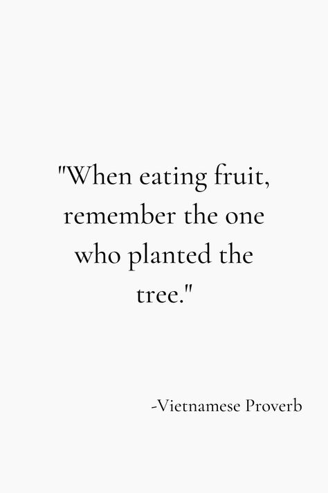 Vietnamese Proverbs, Fruit Quotes, Vietnamese Quotes, Gratitude List, Gratitude Journal Prompts, Proverbs Quotes, Meaningful Life, Practice Gratitude, Gratitude Quotes