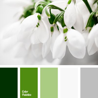 almost white, color of the leaves, color selection for home, colors of spring, dark green, gray, greenery, Pantone color 2017, shades of gray, shades of green, silver, silver color, wedding color solution, White Color Palettes. Flat Bedroom, Palettes Color, Winter Color Palette, Winter Wedding Colors, Gray Wedding, Color Schemes Colour Palettes, Green Color Schemes, Grey Color Palette, Green And Gray