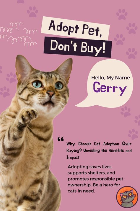 Adoption Poster Ideas, Cat Adoption Poster, Adoption Poster, Adopting A Cat, Pet Adoption Event, Pet Branding, Adoption Photos, Cat Ownership, Awareness Poster