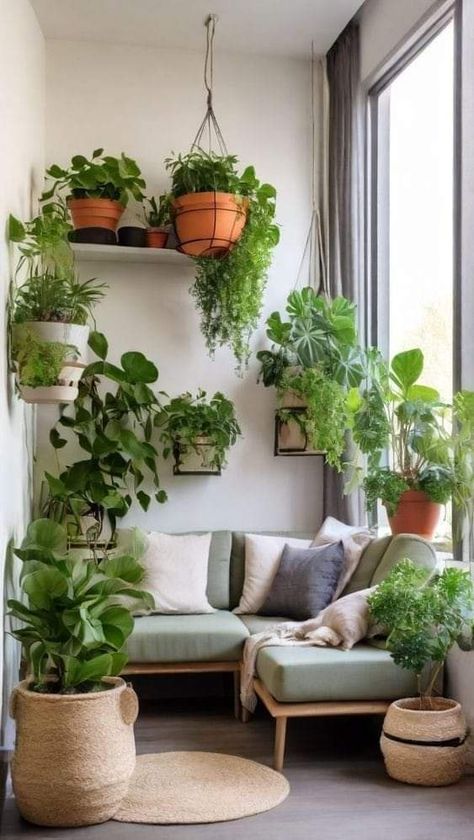 Indoor Plants Display Ideas, Plant Aesthetic Living Room, Houseplants Decor, Wall Hanging Decorations, Fresh Living Room, Plant Corner, Houseplant Care, Plants Wall, Hanging Plant Wall