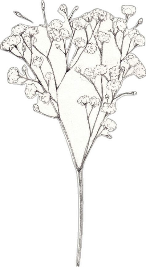 Baby's Breath Drawing, Breath Drawing, Mum Xmas Gifts, Portland City, Baby Drawing, Baby's Breath, Cubicle, Flower Illustration, A Lady