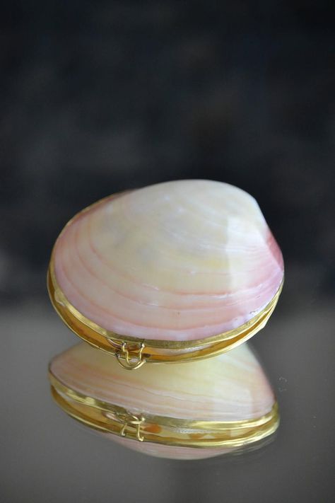 Shell Ring Box, Ring Carrier, Beach Party Gifts, Engagement Ring Holder, Unique Ring Box, Seashell Ring, Engagement Box, Beach Craft, Engagement Ring Holders