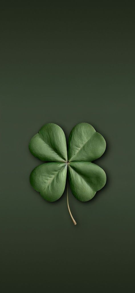 Clover Leaf Wallpaper, Dark Color Wallpaper, Good Luck Wallpaper, Green Wallpaper Iphone, Leaves Wallpaper Iphone, Wallpaper Iphone Hd, Clover Wallpaper, Love Rose Flower, Lucky Wallpaper