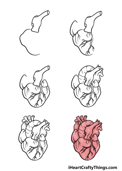 Two Hearts Drawing, Human Heart Painting On Canvas, How To Draw A Real Heart, How To Draw A Heart Organ, Human Heart Drawing Easy, Hart Draw, How To Draw A Heart, Human Heart Painting, Heart Drawing Aesthetic