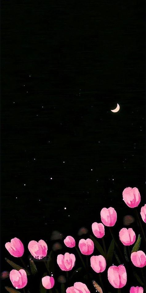 Wallpaper Flowers Iphone, Black And Pink Wallpaper Aesthetic, Wallpaper Phone Black, Ombre Wallpaper Iphone, Flowers Black Background, Dragon Wallpaper Iphone, Iphone Wallpaper Cat, Sky Art Painting, Phone Wallpaper Boho