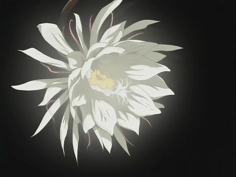 Chasing Flowers - Wolf's Rain and Romanticism - Anime News Network Wolf's Rain, Flower Images, Wolves, Moon, Flowers, Anime