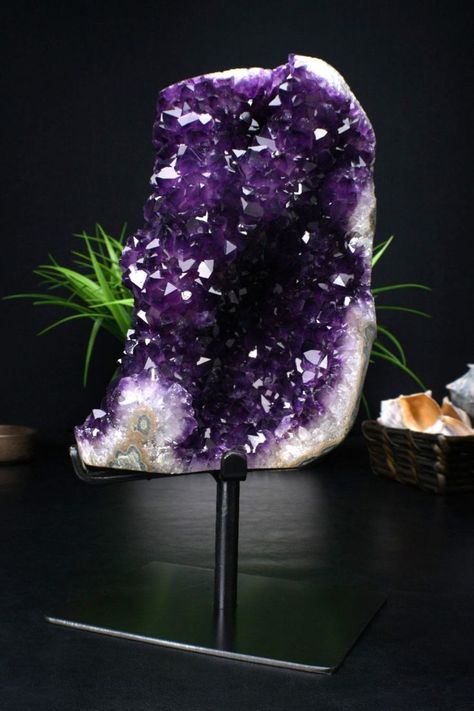 This specimen features a classic, sharp, and sculptural large stalactite amethyst formation from the famous basalt deposits of Uruguay. The impressive large cabinet-size specimen covered with jasper eye, variable rich grape-purple amethyst points to about 1.2cm. It is an extraordinary brilliance large amethyst from one of the pioneer selections found. Amethyst Point, Rare Gemstones, Crystal Shop, Purple Amethyst, Rocks And Crystals, The Collector, Crystal Healing, Amethyst, Sculpture