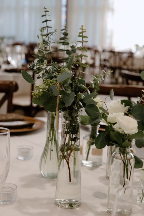 A photo of what our center pieces looked like at our wedding. we loved these and thought they were the perfect decor piece! #ad Houseplant Wedding Table Decor, Green Plant Wedding Decor, Simple Diy Centerpieces For Party, Greenery Bud Vases Wedding, Pothos Centerpieces, Wedding Plant Centerpieces, Propagation Centerpiece Wedding, Pothos Centerpieces Wedding, Wedding Bud Vases Centerpiece