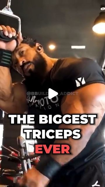 Best Triceps Workout, Bicep And Tricep Workout Gym, Chest And Tricep Workout For Men, Tricep Workout Men, Tricep Workouts For Men, Tricep Workout Gym, Arnold Workout, Back Workout Bodybuilding, Chest And Tricep Workout