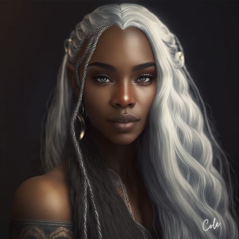 White Hair Dark Skin, Elf Woman, Oc Manga, Asoiaf Art, Black Cartoon, Black Women Art, Hair Art, Silver Hair, Character Portraits