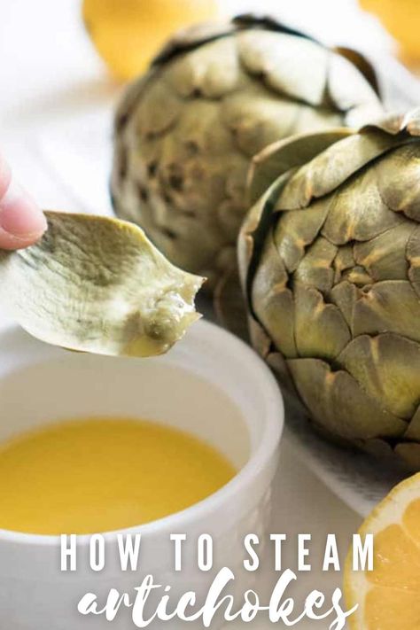 How to cook an artichoke. Once you try a steamed artichoke you'll be converted-this is one of my favorite vegetable recipes to make! (If you can even call it a recipe!!) Steamed Artichoke Recipes, Steamed Artichoke, Steam Artichoke, How To Cook Artichoke, Wine Blog, Food Innovation, Artichoke Recipes, Easy Veggie, Specialty Tools