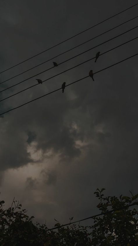 Cloudy Aesthetic Dark, Rainy Day Nature Pictures, Dark Cloudy Sky Aesthetic, Rainy Day Clouds, Monsoon Aesthetic, Cloudy Sky Aesthetic, Dark Sky Background, Fly Photography, Dark Weather