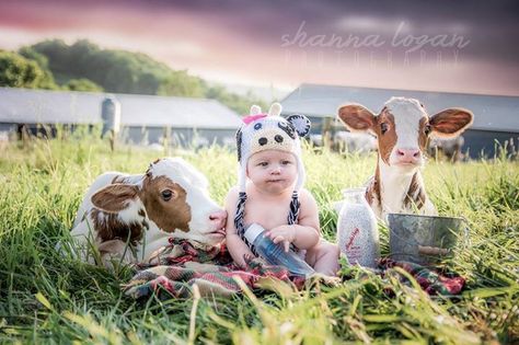 Baby Cows on a farm photo shoot Cow Photography, Cow Photos, Mini Cows, Cowboy Baby, Farm Kids, Cow Pictures, Foto Baby, Baby Cows, Baby Cowboy